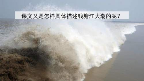 【名师课件】部编版语文四年级上册   1 观潮  课件（一二课时）