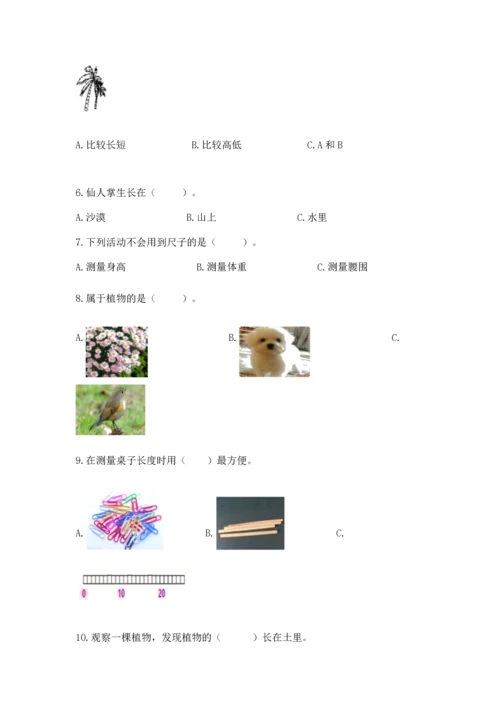 教科版科学一年级上册期末测试卷【考点梳理】.docx