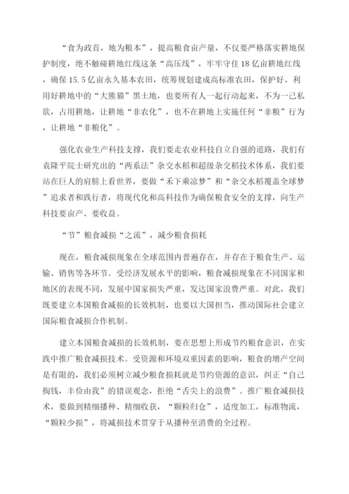 形势与政策2023年粮食安全论文.docx