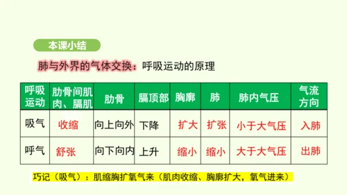 第四单元-第三章-第二节-发生在肺内的气体交换（第1课时）课件-2024-2025学年七年级生物下学