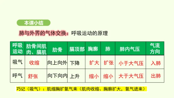 第四单元-第三章-第二节-发生在肺内的气体交换（第1课时）课件-2024-2025学年七年级生物下学