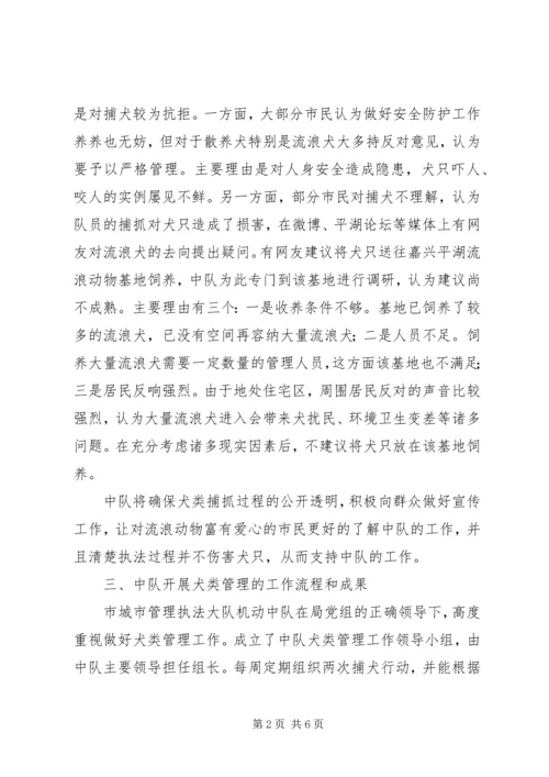 犬类管理调研报告.docx