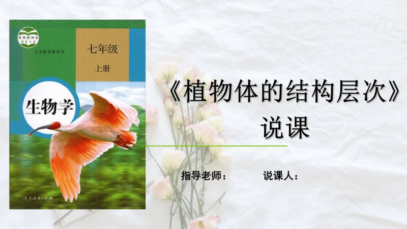 2.2.3植物体的结构层次 【说课课件】2023--2024学年人教版生物七年级上册(共42张PPT