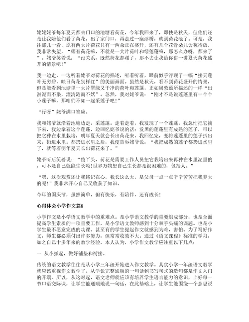 心得体会小学作文模板8篇
