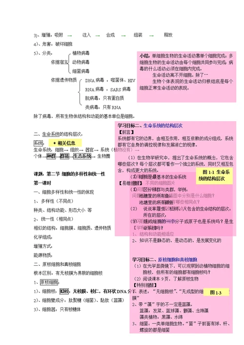 高中生物必修一教案板书讲稿