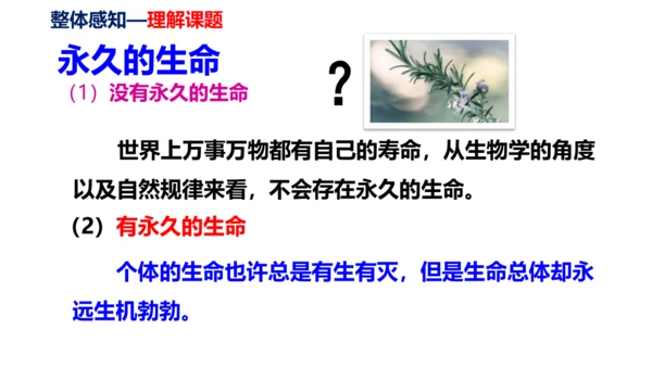 第16课《永久的生命》同步课件