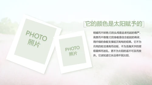 唯美致青春毕业季大学毕业纪念册电子相册PPT