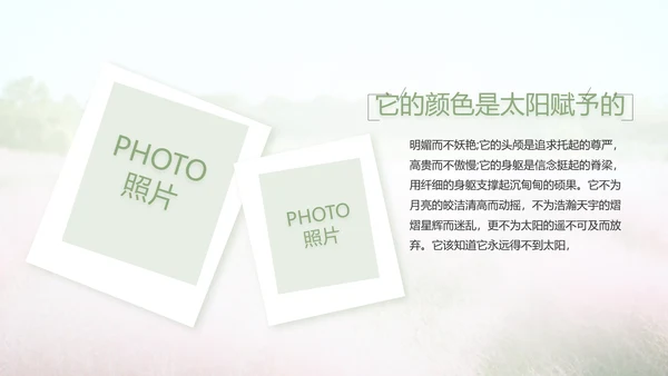 唯美致青春毕业季大学毕业纪念册电子相册PPT