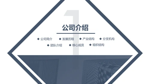 稳重大气公司简介企业宣传公司推广PPT模板