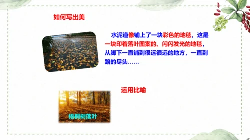 5 《铺满巴掌的水泥道》仿写指导课件