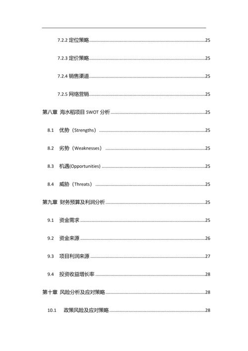 东灿海上水稻项目商业计划书.docx
