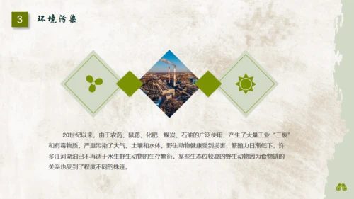 保护濒危野生动物通用PPT模板