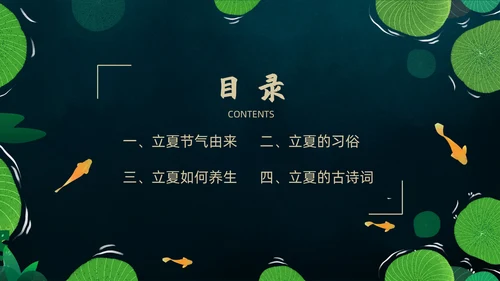 立夏荷叶绿色清新夏天通用PPT模板