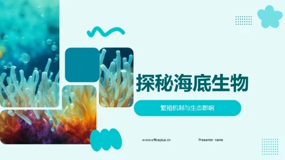 探秘海底生物