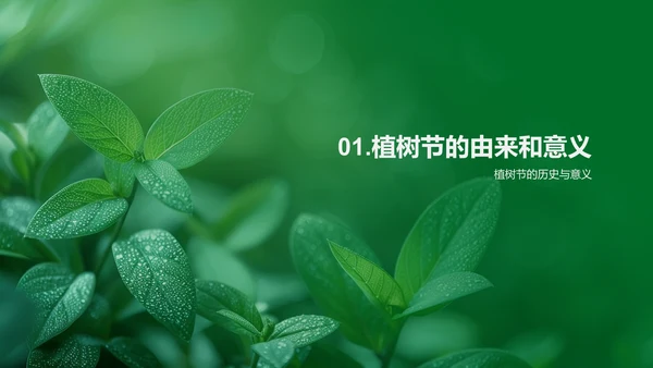 社区植树活动汇报