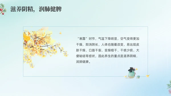 彩色弥撒寒露养生二十四节气PPT课件