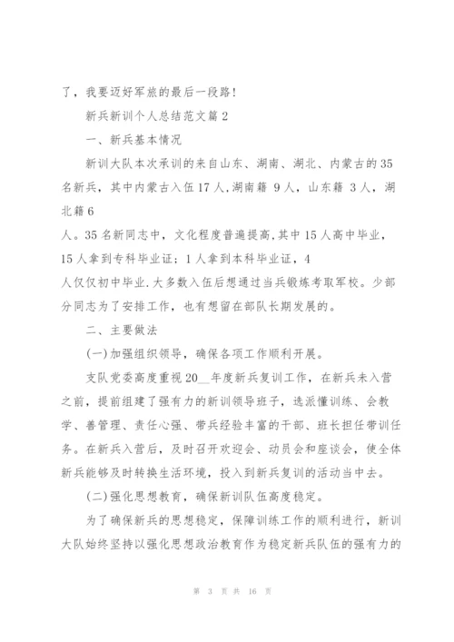 新兵新训结束个人总结5篇.docx