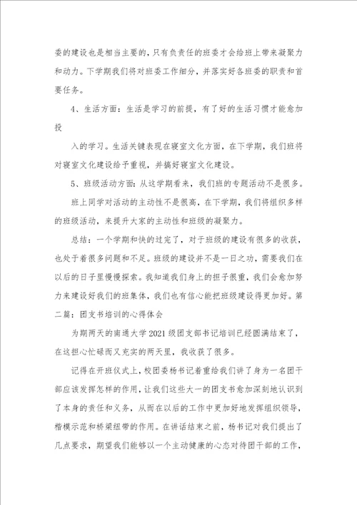 大一团支书的工作体会团支书工作体会精选多篇