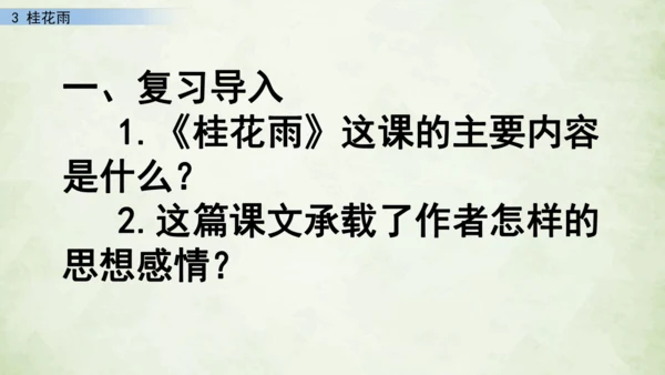 3 桂花雨     课件