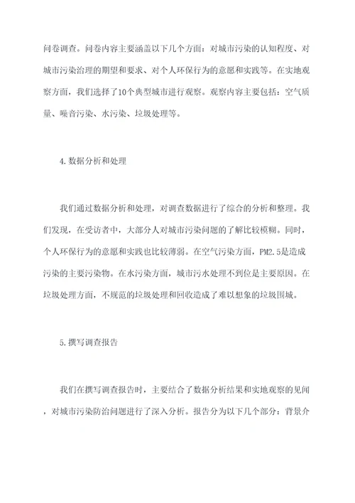 调查队半年度工作总结
