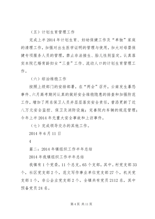 乡镇组织政工办半年工作总结.docx