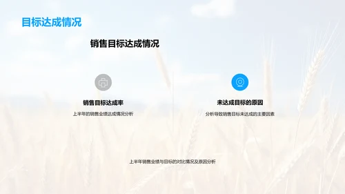 农产销售年中盘点