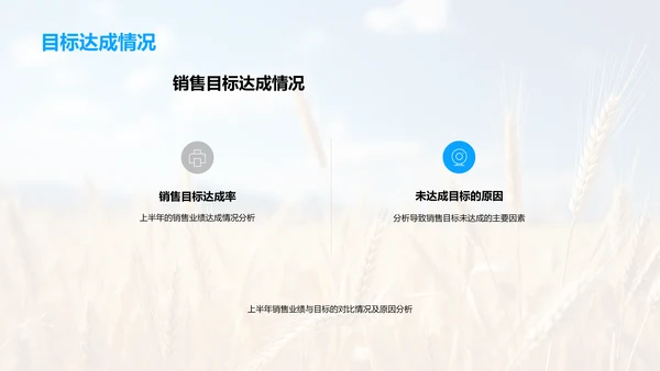 农产销售年中盘点