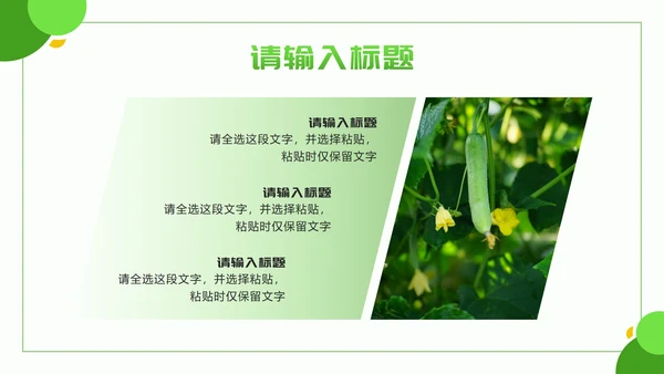 黄绿色几何实景乡村振兴新篇章PPT模板