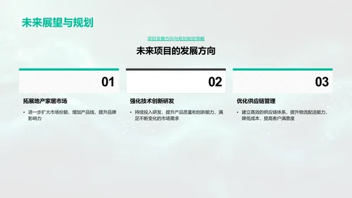 房产项目月报