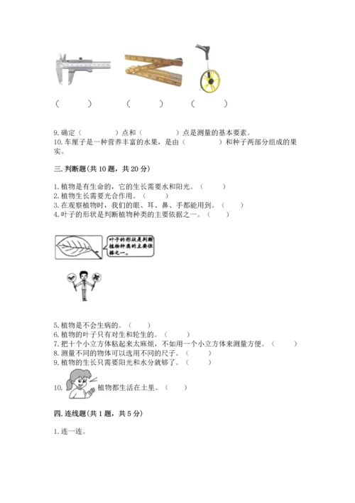 教科版科学一年级上册期末测试卷（全国通用）.docx