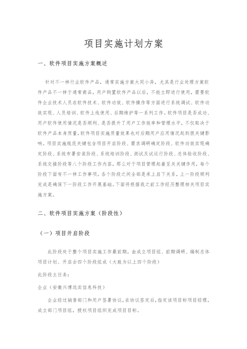 软件综合项目实施专题计划专项方案.docx