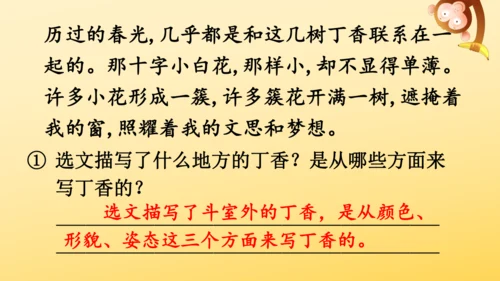 2 丁香结  课件
