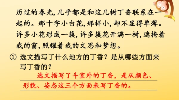 2 丁香结  课件