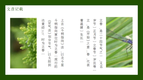 立春节气通用PPT模板