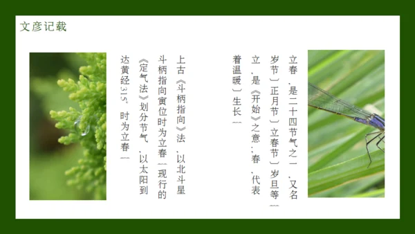 立春节气通用PPT模板