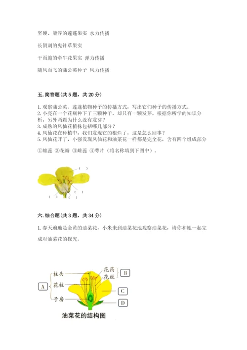 教科版四年级下册科学第一单元《植物的生长变化》测试卷【研优卷】.docx
