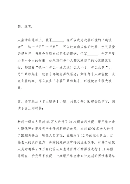 河南省 中考语文一模试卷.docx