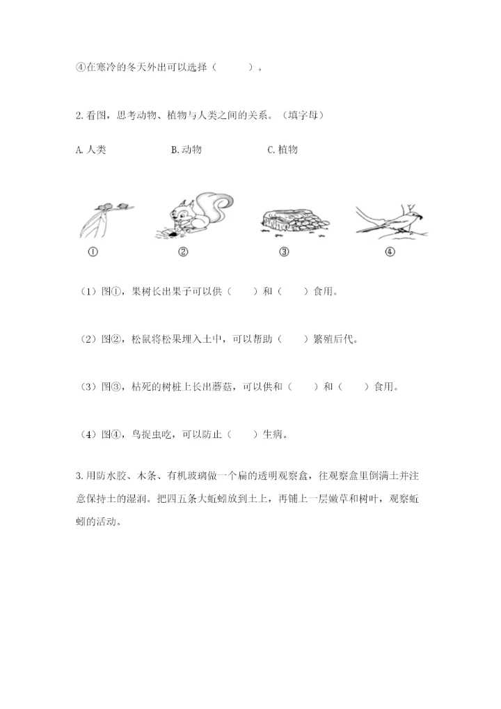 教科版小学二年级上册科学期末测试卷精品（实用）.docx