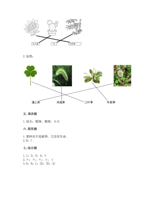 教科版科学一年级上册第一单元《植物》测试卷（必刷）word版.docx