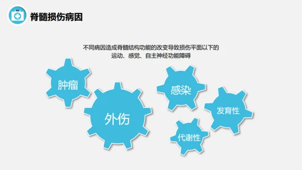脊髓损伤术后护理查房通用PPT模板