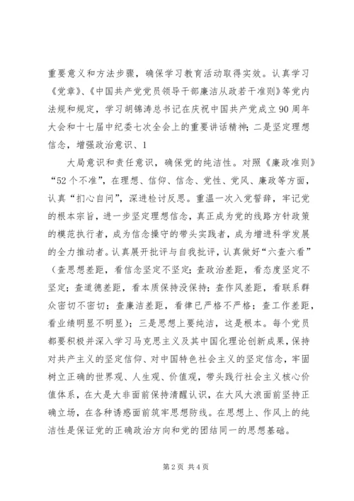 保持党的纯洁性分析检查阶段分析检查报告.docx