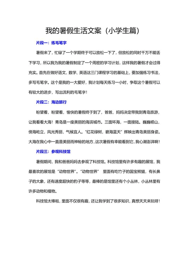 小学生的暑假生活手抄报文案word模板