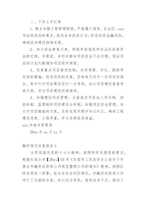 融资情况自查报告.docx