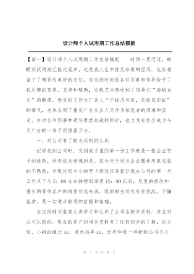 设计师个人试用期工作总结模板.docx