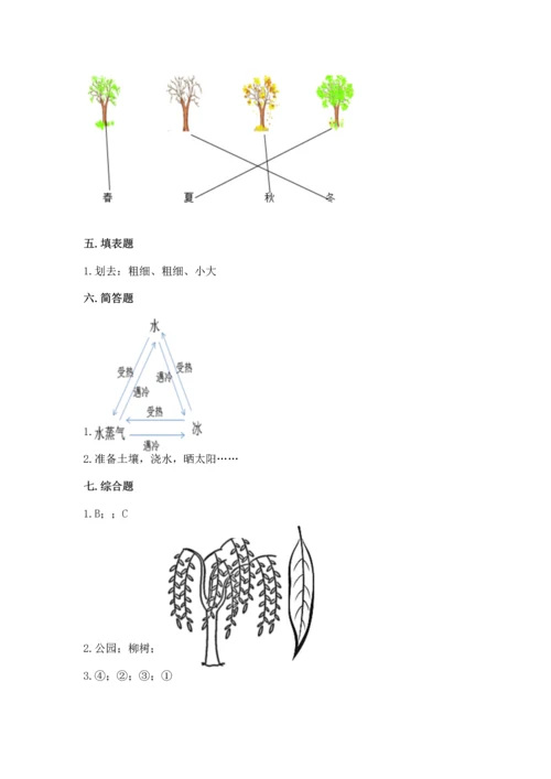 教科版科学一年级上册第一单元《植物》测试卷含答案（名师推荐）.docx