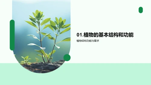 揭秘植物生长奥秘