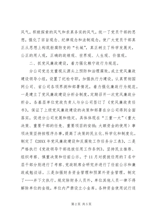 电力公司党风廉政建设自查报告 (3).docx