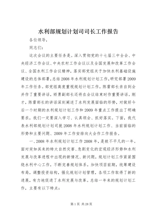 水利部规划计划司司长工作报告 (2).docx