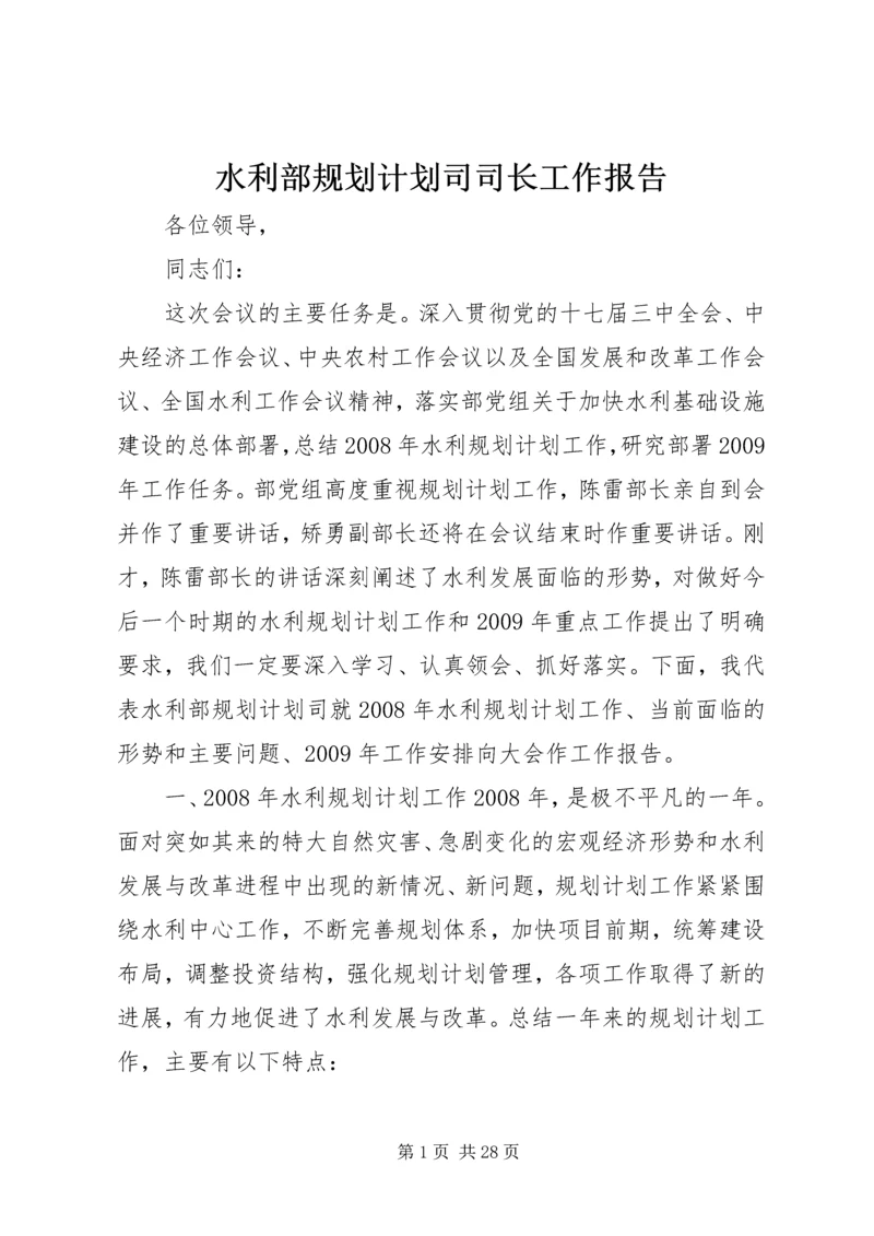 水利部规划计划司司长工作报告 (2).docx