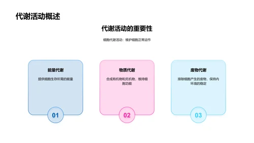 探索细胞奥秘PPT模板